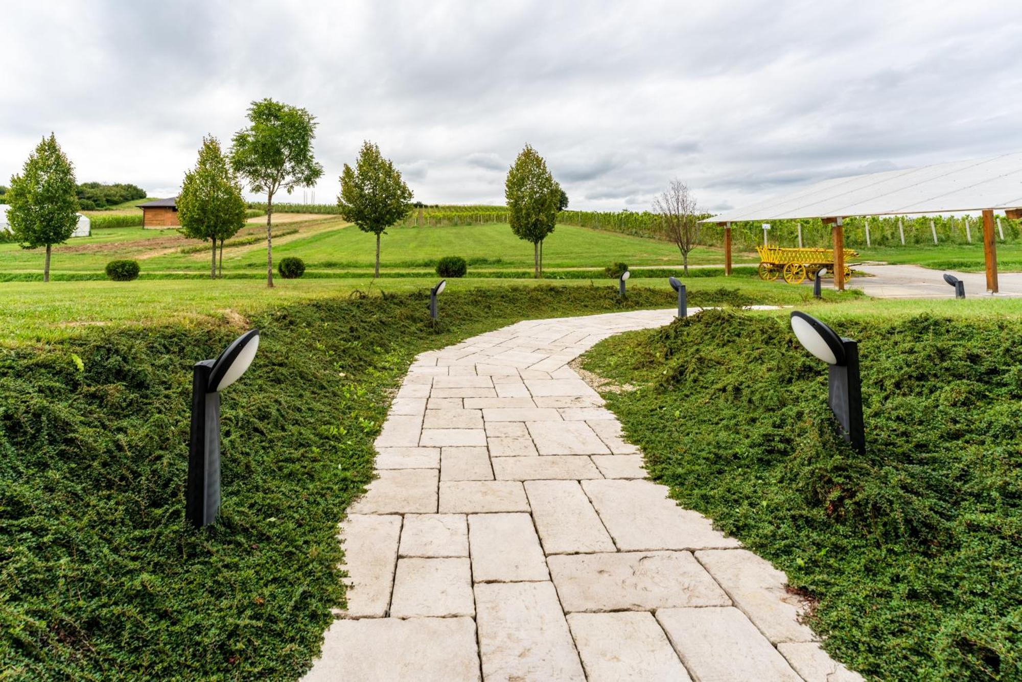 Bed&Breakfast Vinarija Coner Bjelovar Exterior photo
